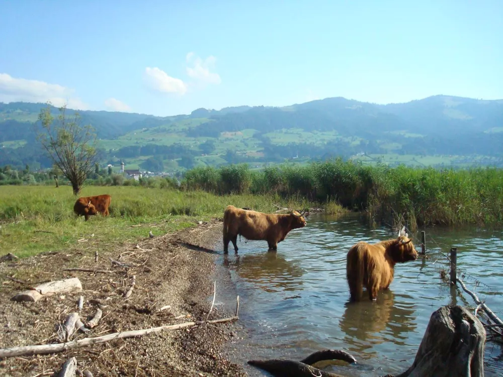 Für den Schutz und den Erhalt der Natur wurdenauch schon ‚Exoten‘ eingesetzt.